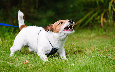 3 common types of premises liability claims
